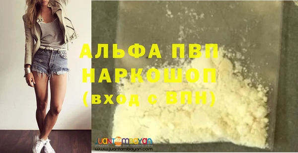 PSILOCYBIN Верея