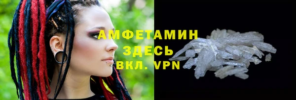 PSILOCYBIN Верея