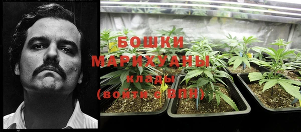 PSILOCYBIN Верея