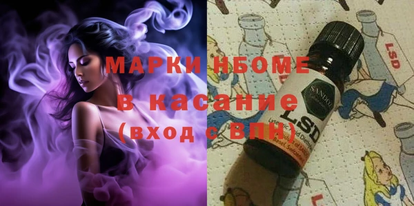 PSILOCYBIN Верея