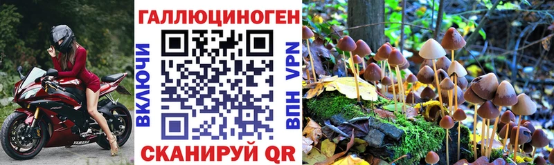 mega маркетплейс  Новошахтинск  Псилоцибиновые грибы прущие грибы 